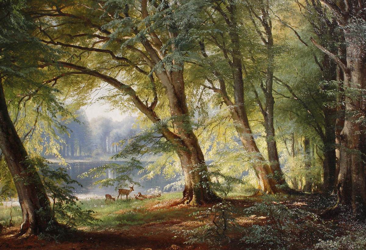 Cerf à côté d'un lac