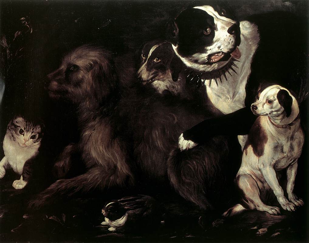 Retrato de cães com um gato e um coelho