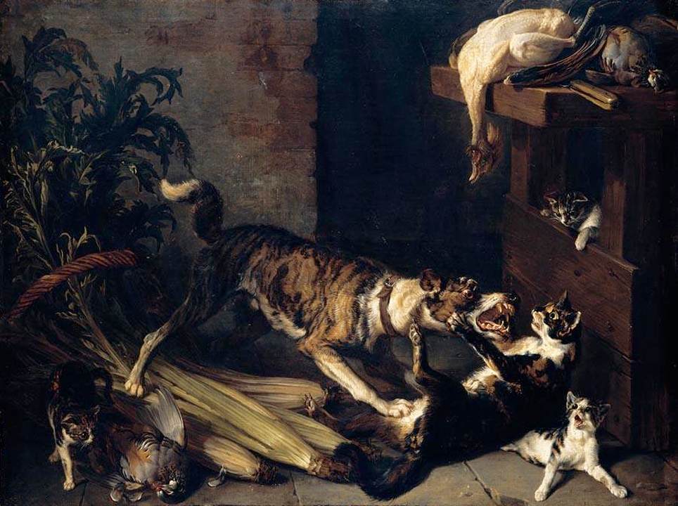 Un cane e un gatto che combattono all'interno della cucina