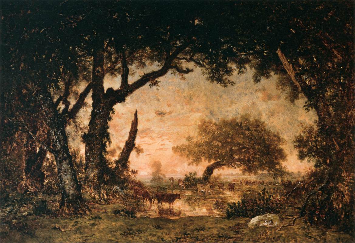 Fontainebleau Forest Edge, West Sun