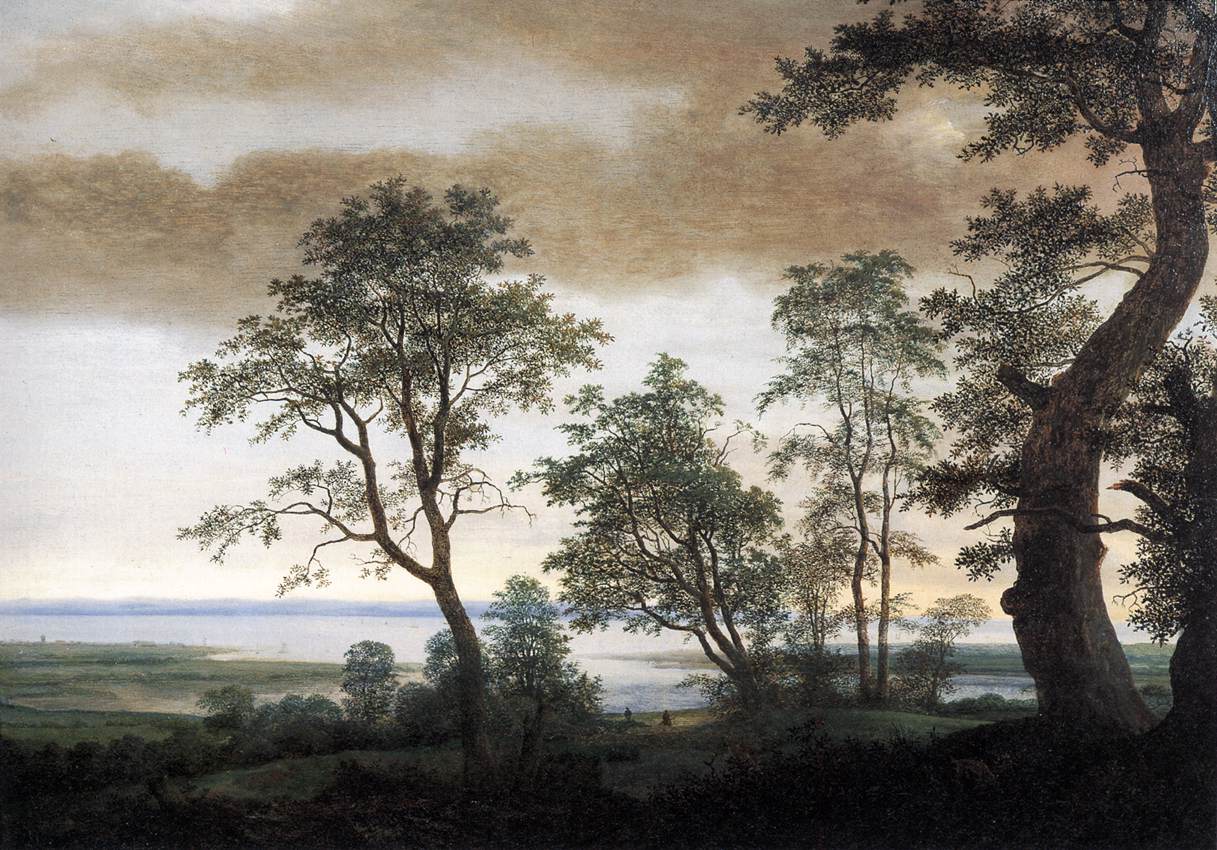 Paysage avec estuaire
