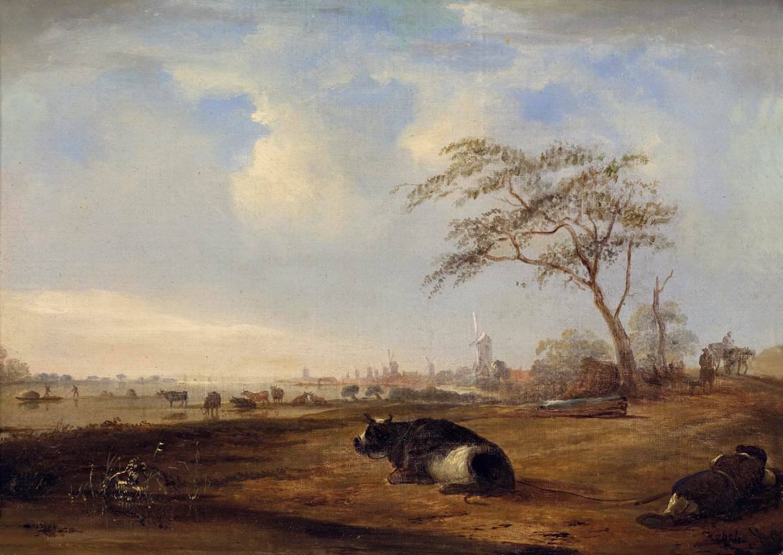 Paysage fluvial étendu