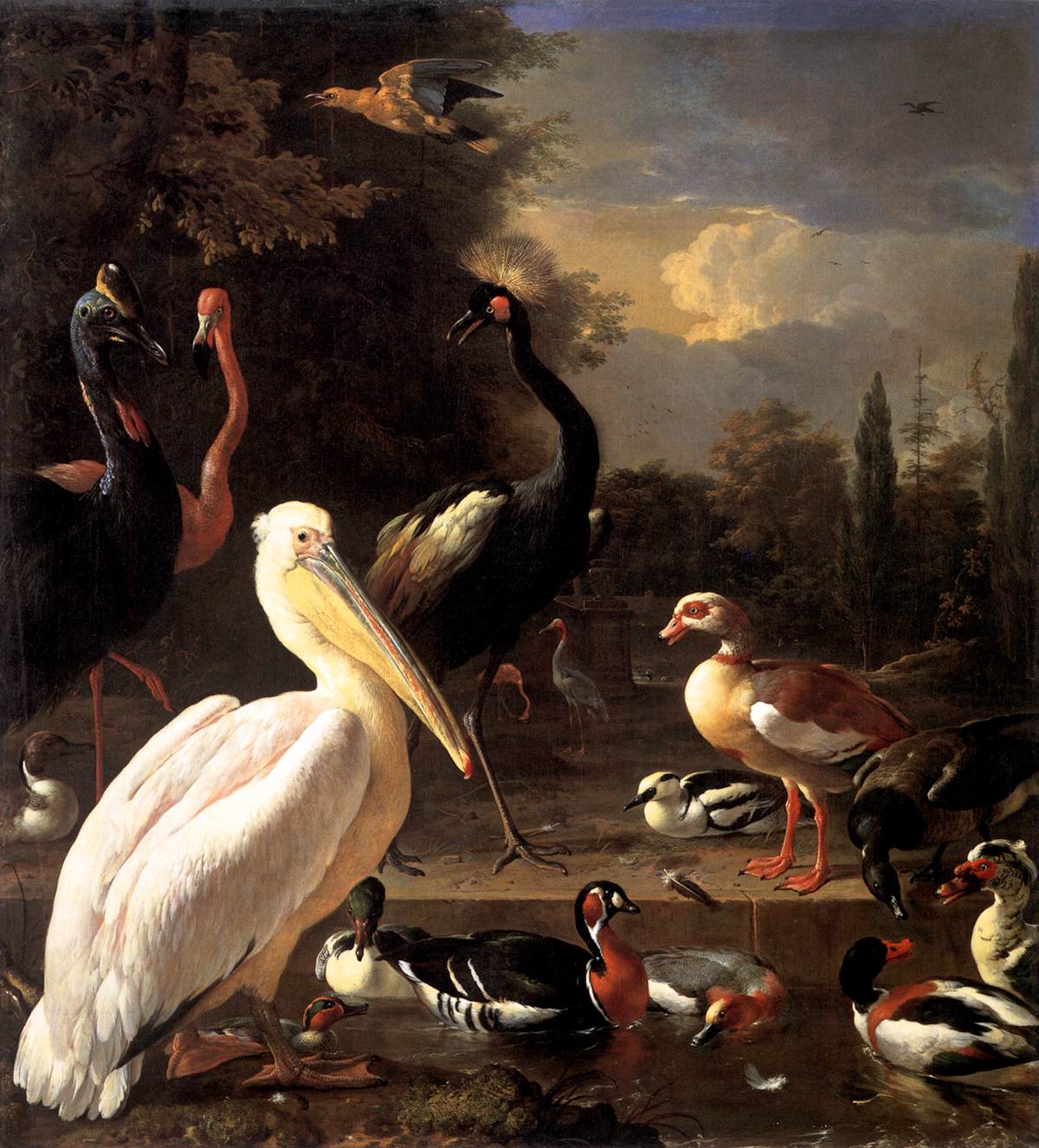 La Pluma Flotante