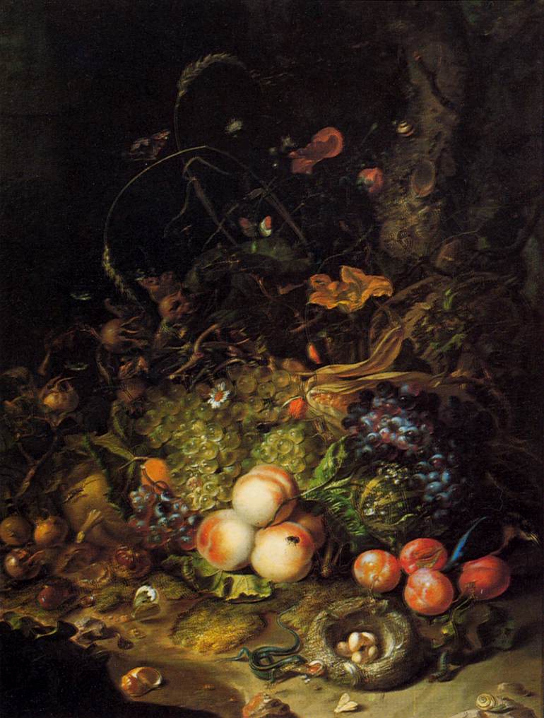 Flores, Frutas e Insectos