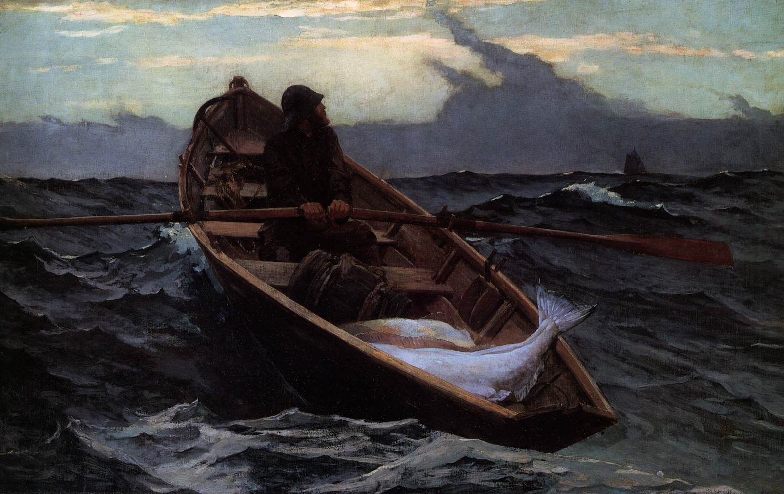 Avvertenza della nebbia