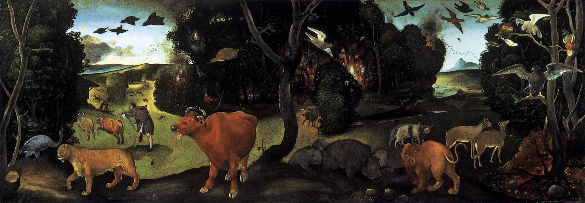 Forest fire