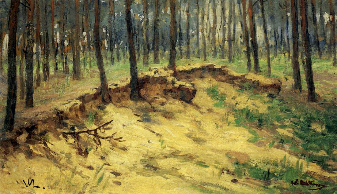Foresta con sabbia