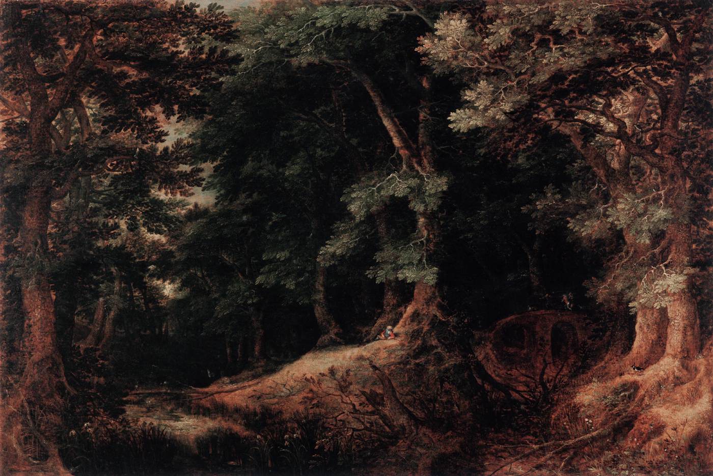 Paesaggio forestale