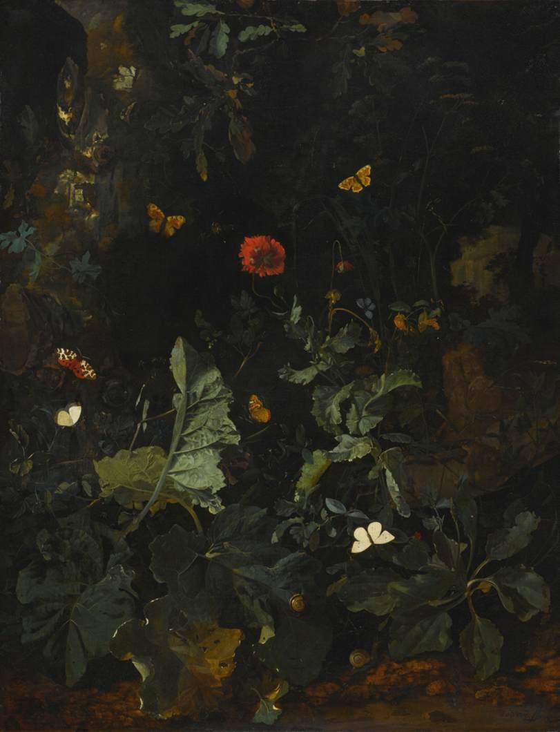 Forstwirtschaft des Holzlebens mit Pflanzen mit Blumen und Schmetterlingen