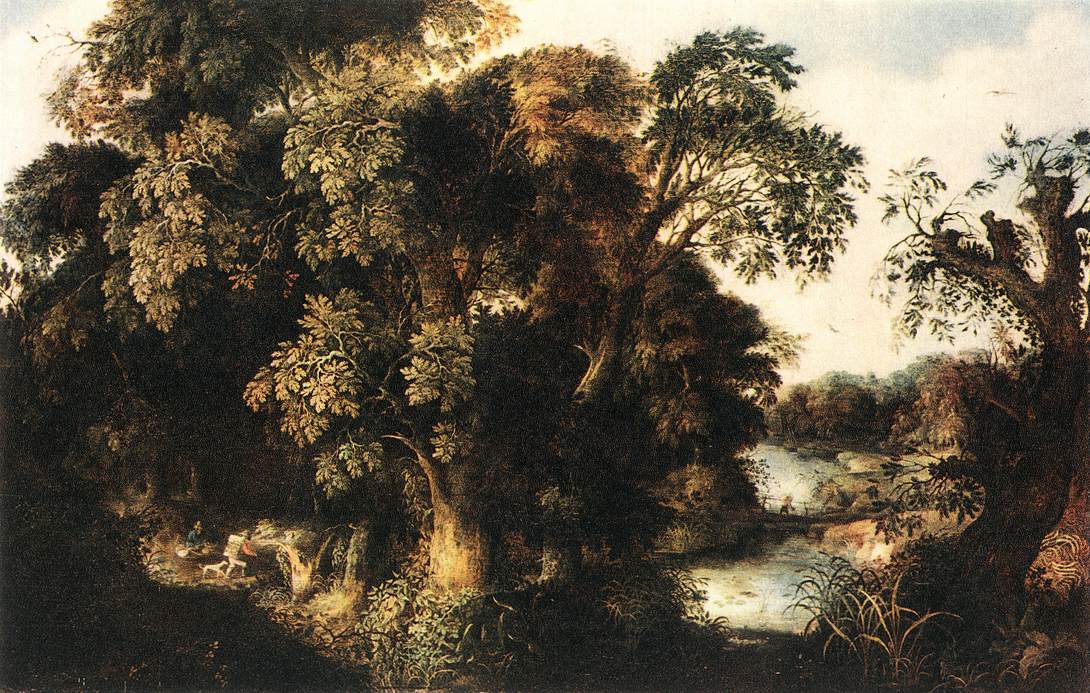 forest scene