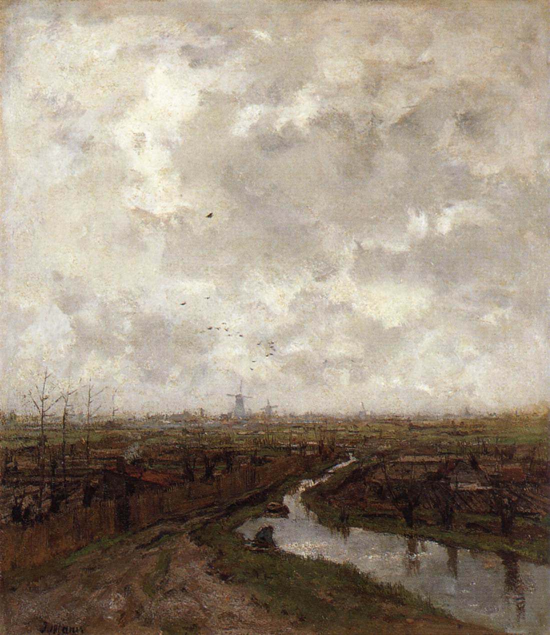 Allotment Gardens Near The Hague