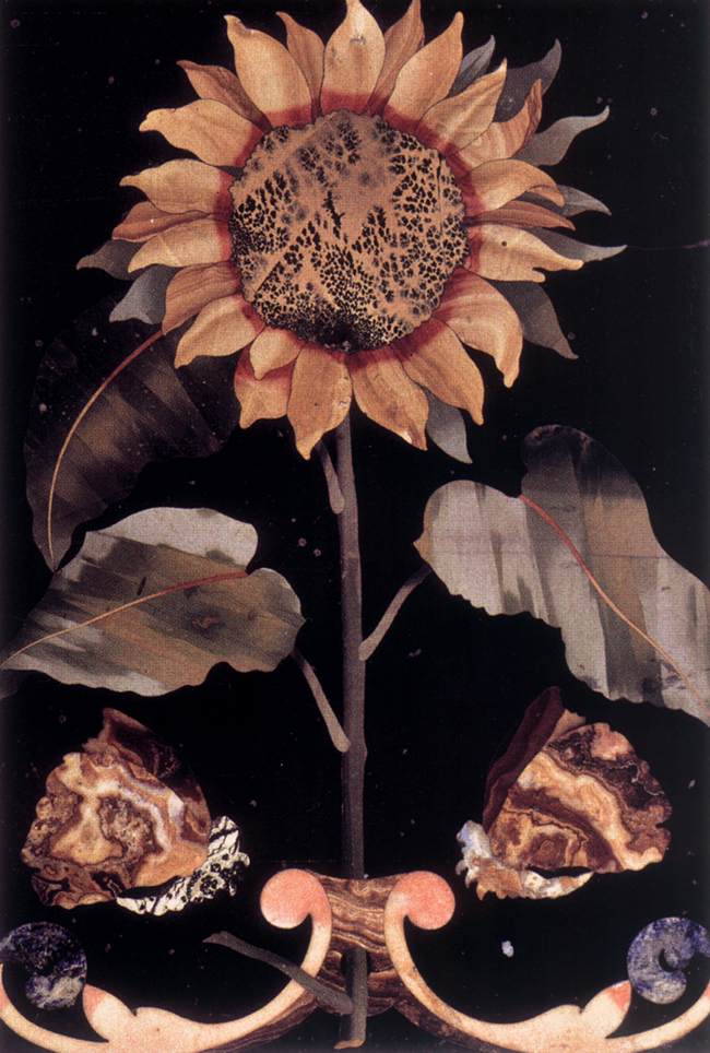 Girasol