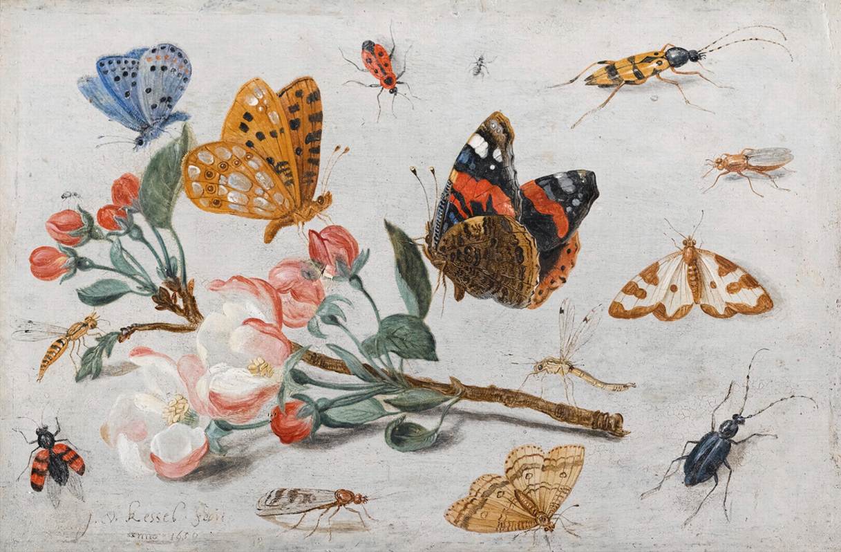 Étude des papillons et d'autres insectes avec une brindille à fleurs de pomme