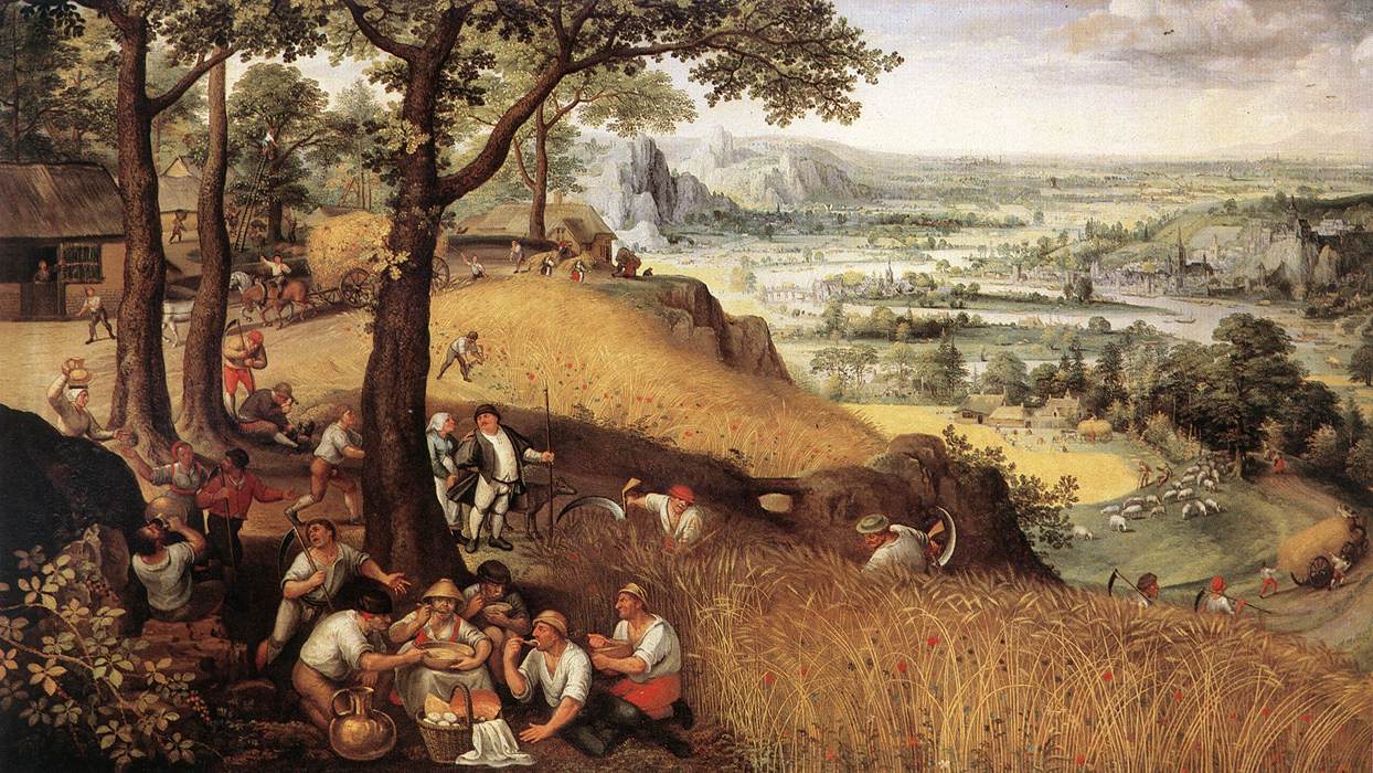 landscape in summer