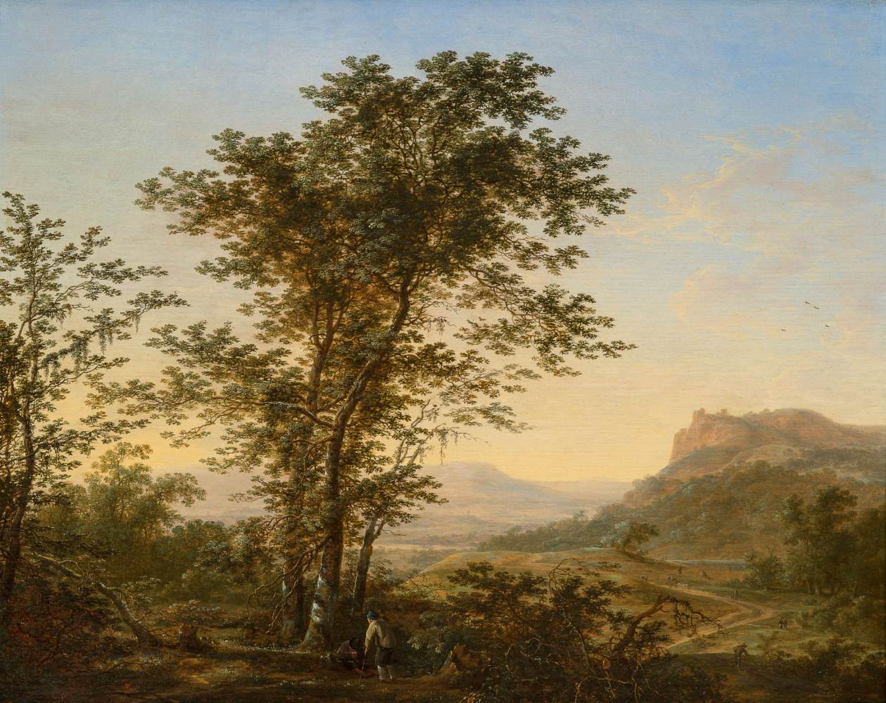 Paysage des montagnes