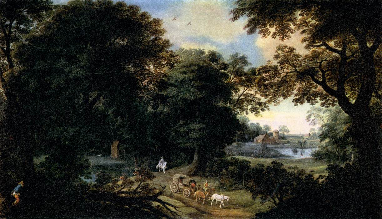 forest landscape