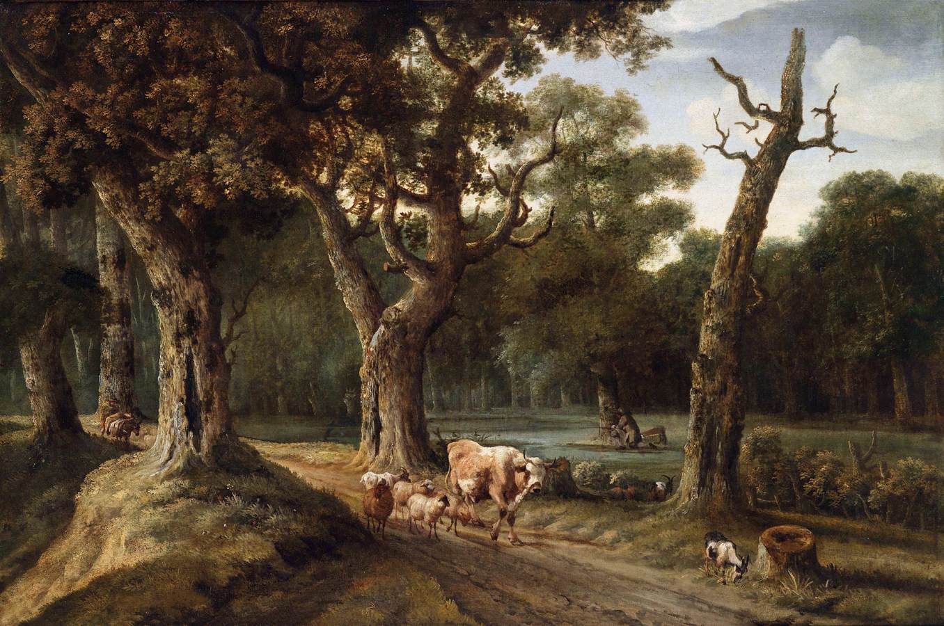 forest landscape