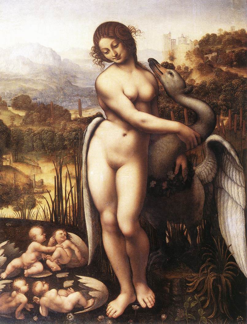 Leda a Swan