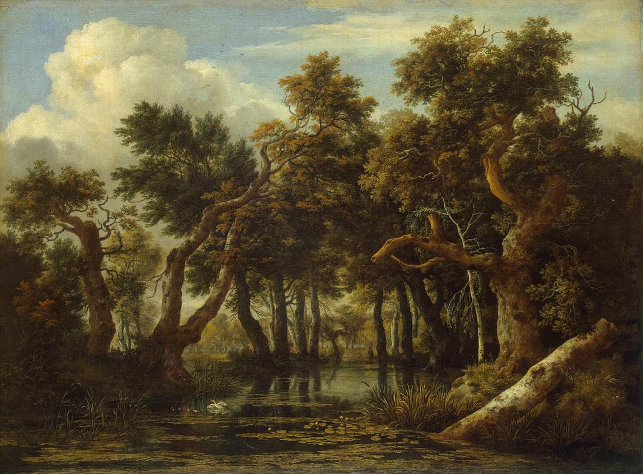 The Swamp in a Forest