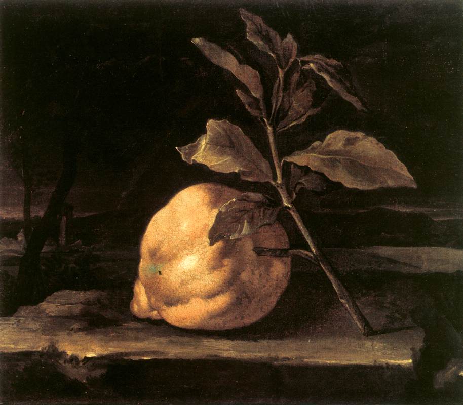 Geweldige citrus in een landschap