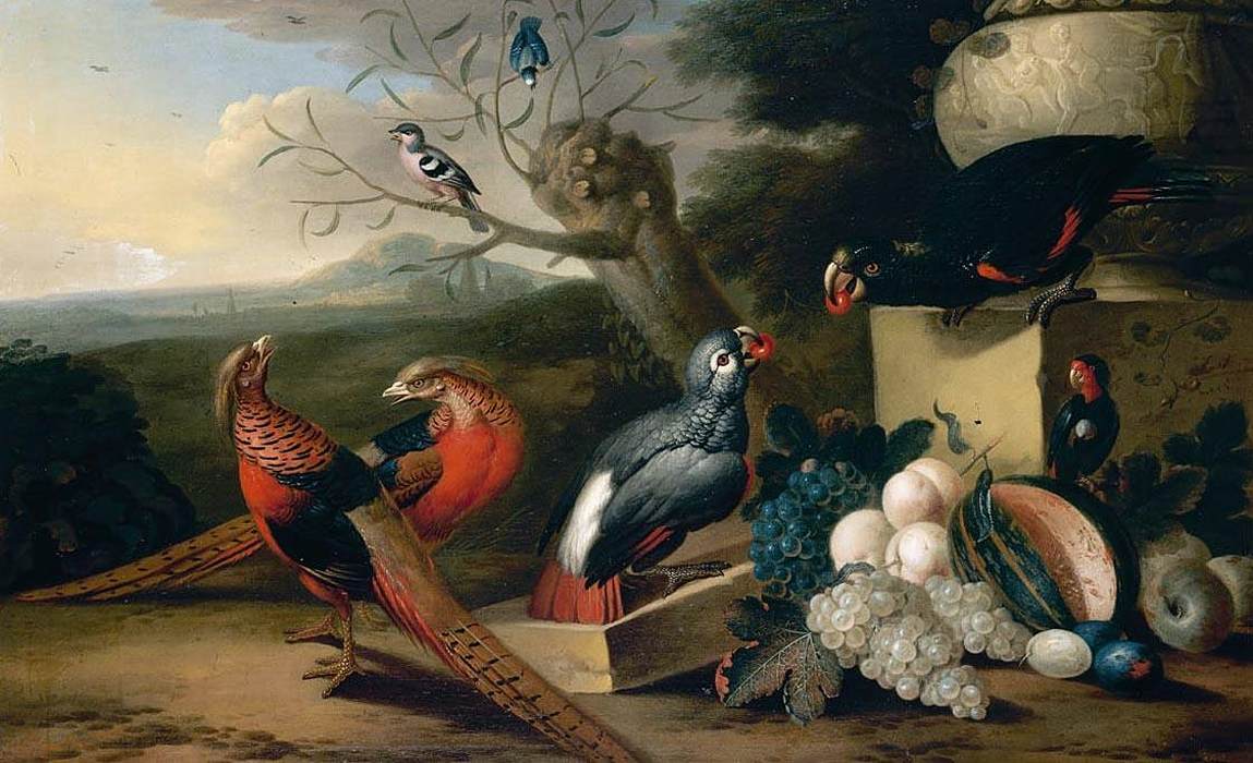 Ambiente de Parques com Aves