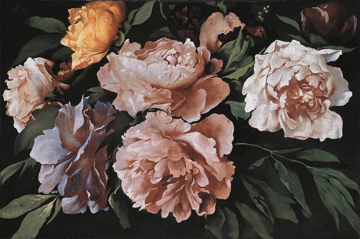Peonia