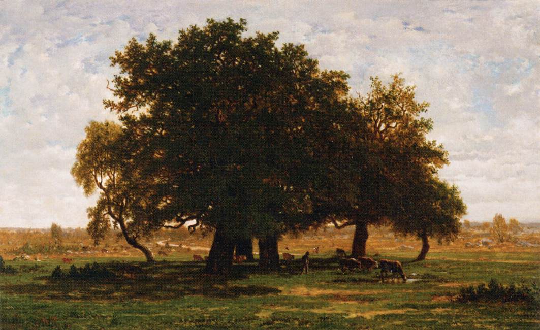 Oak Grove, squeech