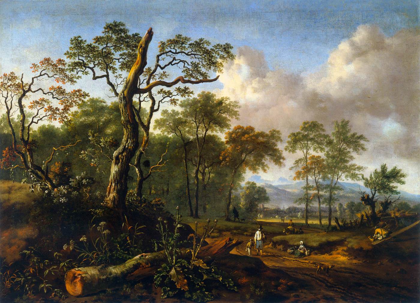 Paisagem arborizada com uma árvore morta