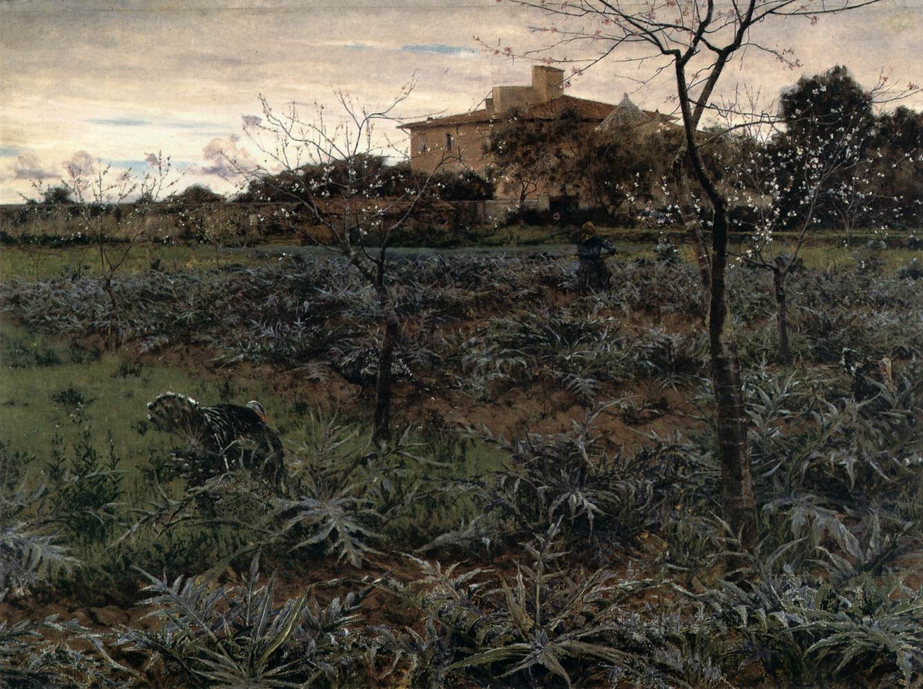 Primavera