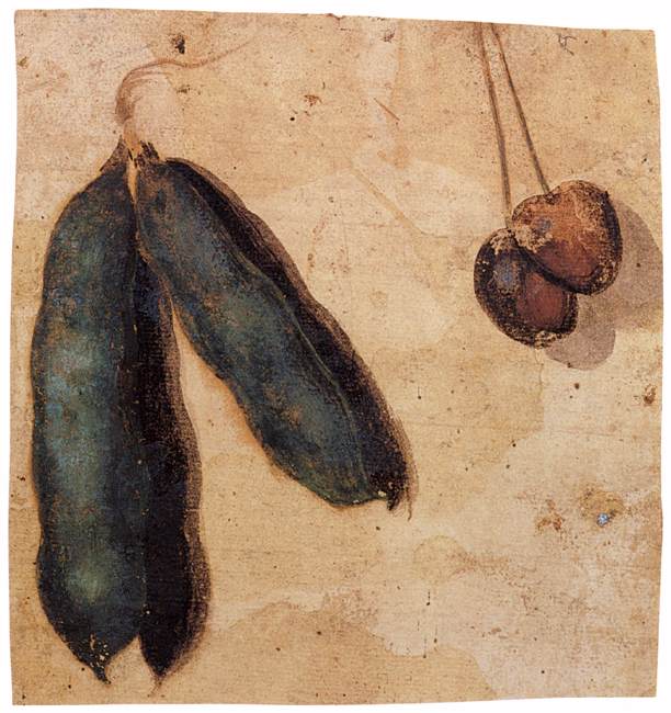 Guisantes y Cerezas