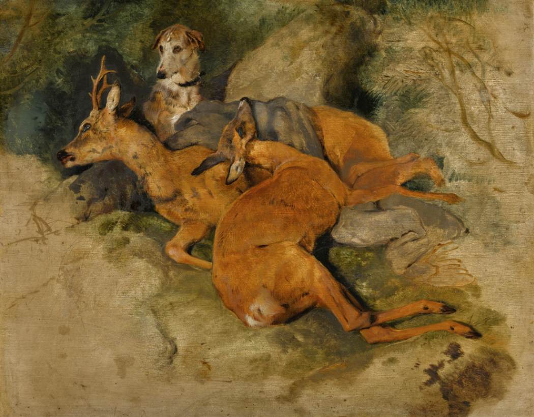 Um Deerhound com dois Corços Mortos