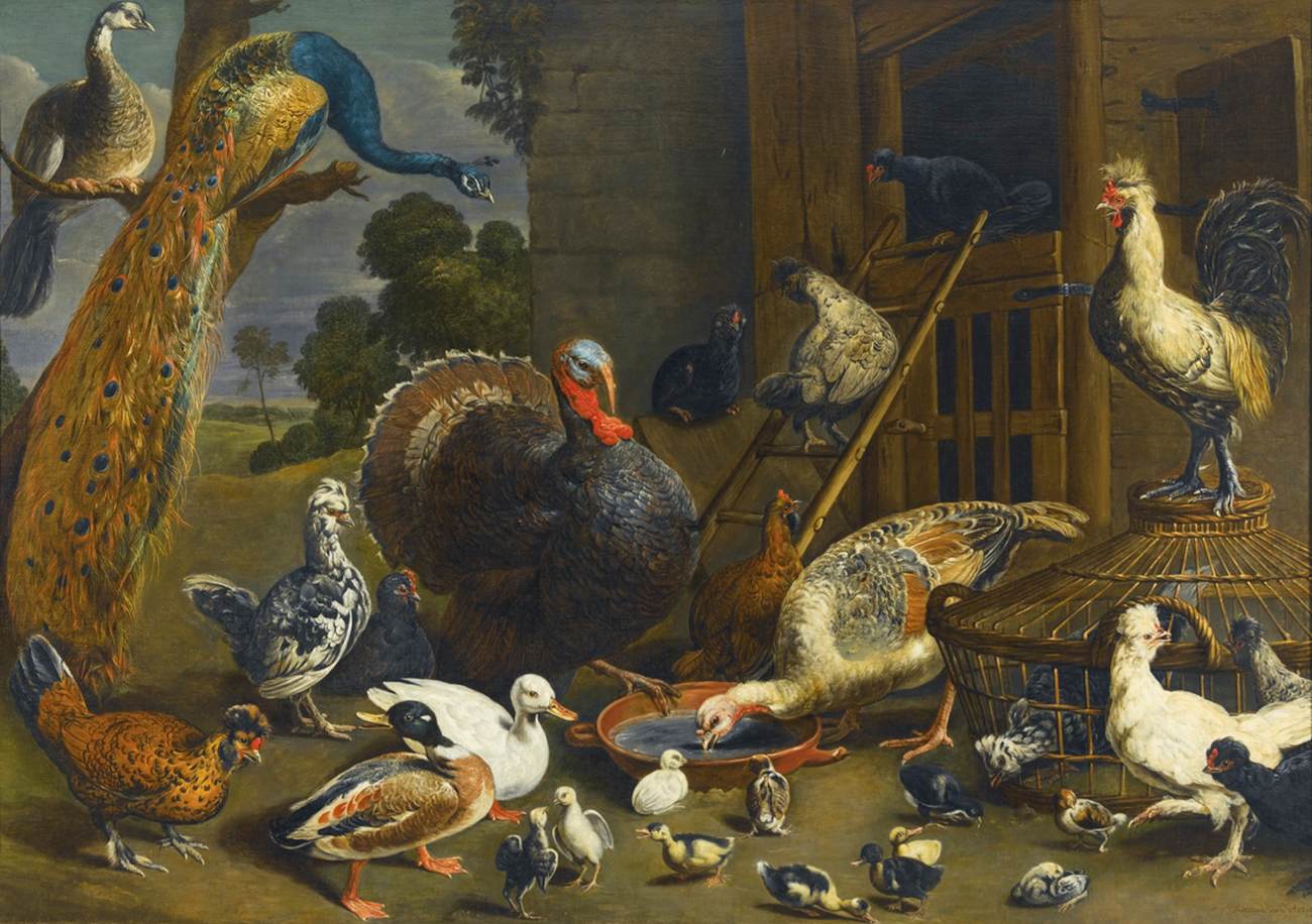 Una Variedad de Pájaros