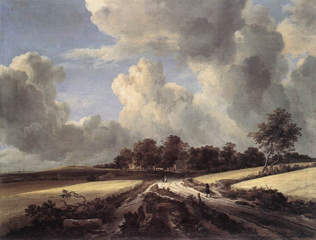 Campos de Trigo