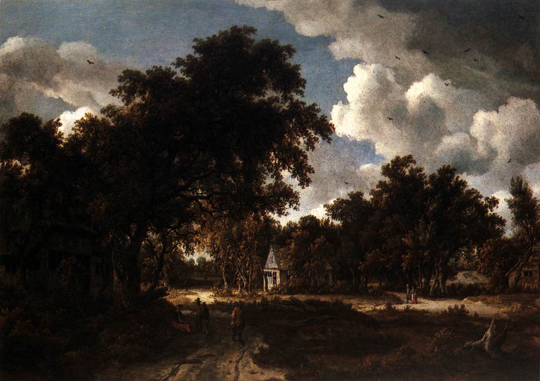 Paysage boisé