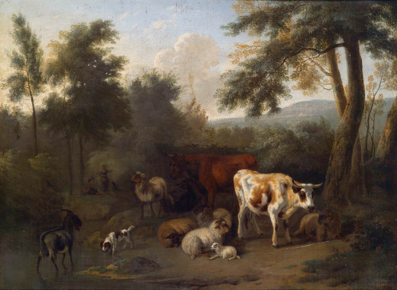 paisagem arborizada