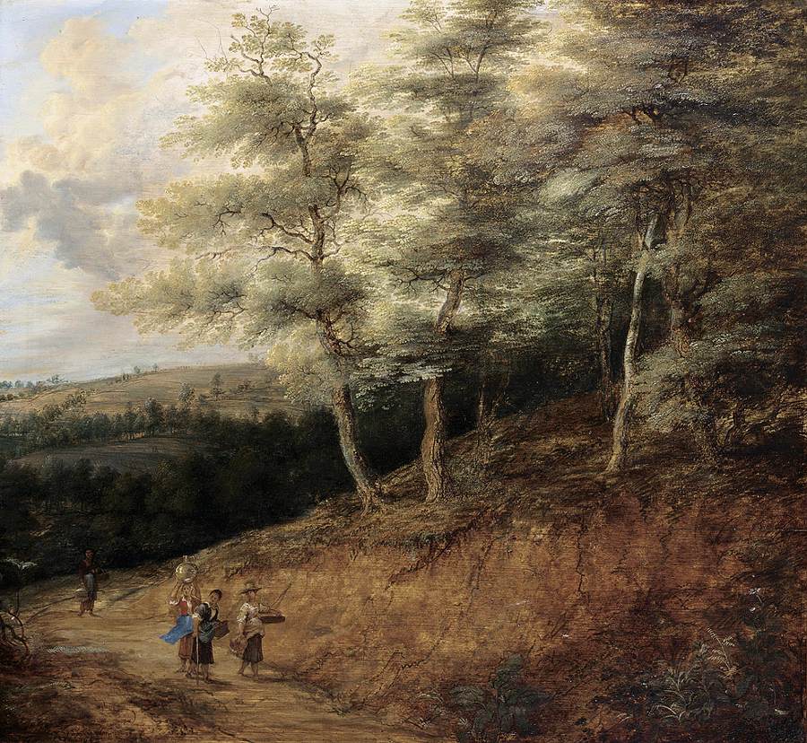 Paysage boisé