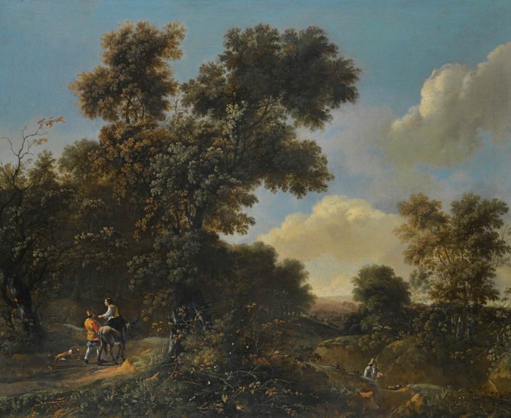 paisagem arborizada