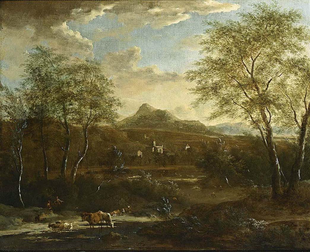 A Vast Wooded Landscape