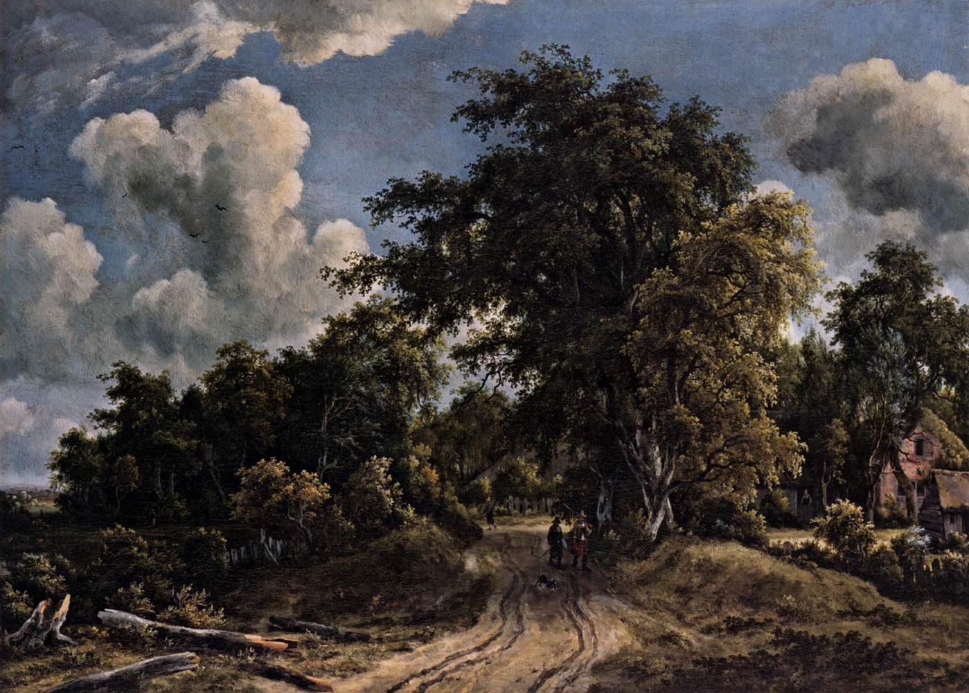 Carretera de Bosque
