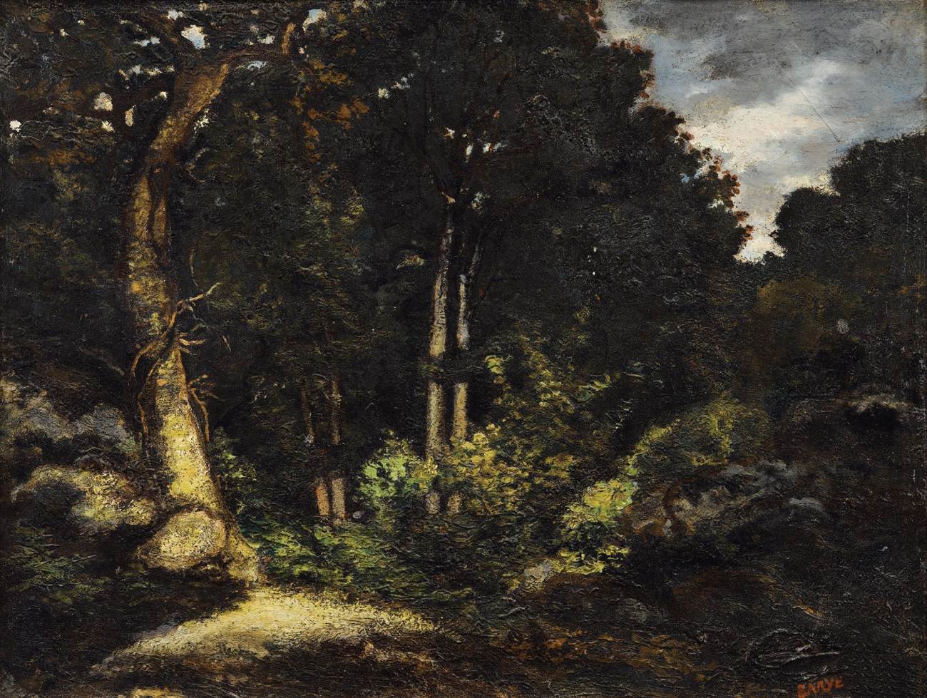 Fontainebleau Forest: Queen Blanca