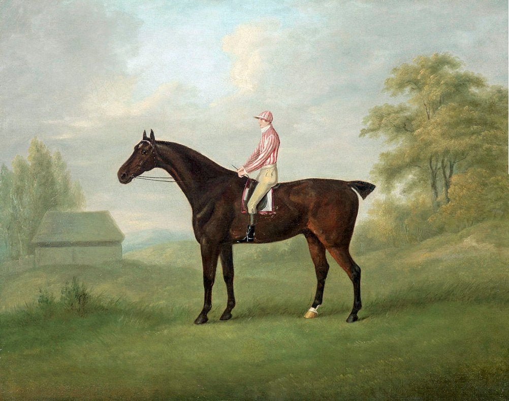 Smolensko Black Racing Horse