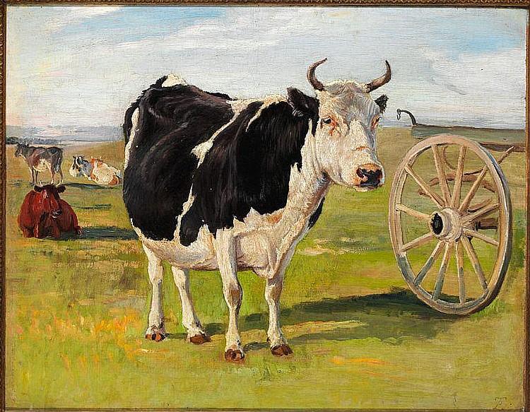 A black and white cow