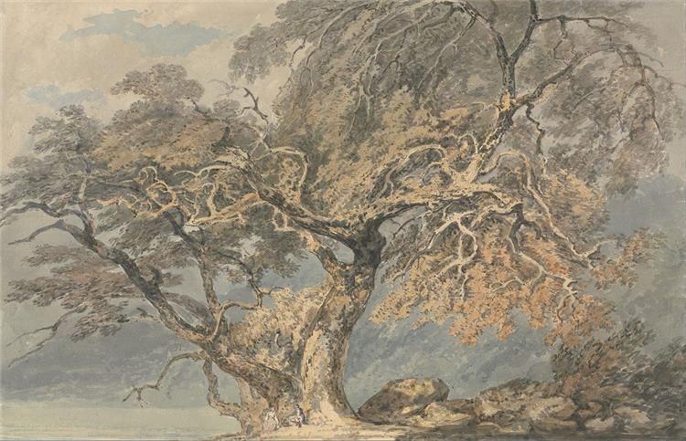 Ein großer Baum - 1796