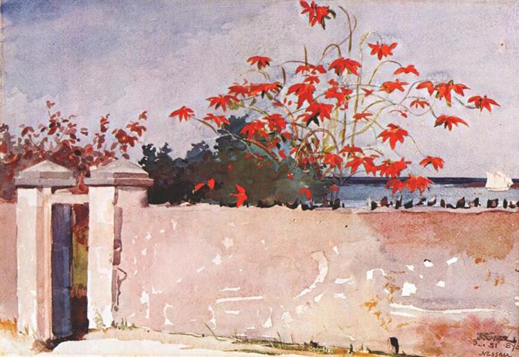 A WALL - NASSAU - 1898