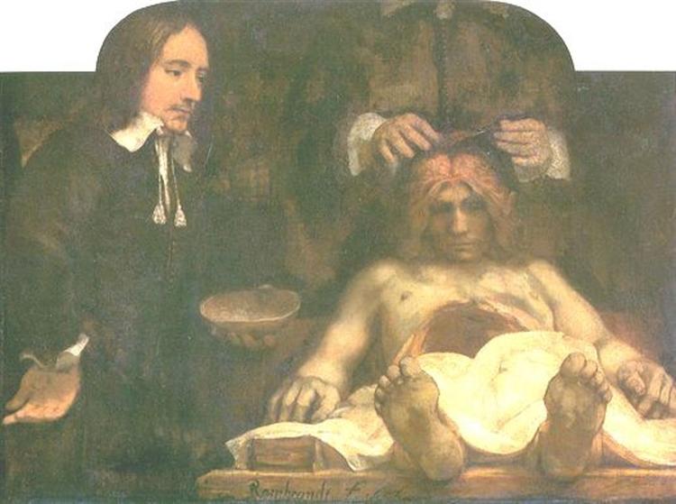 Anatomía Del Doctor Deyman - 1656