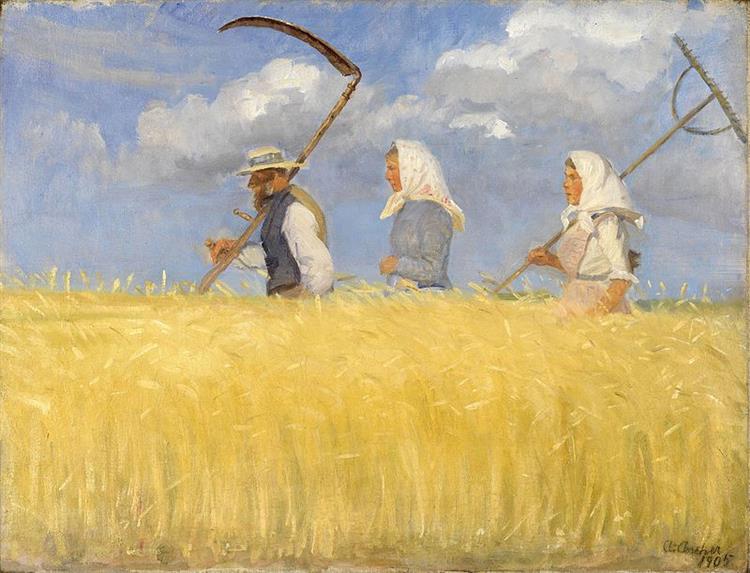 Harvesting - 1905