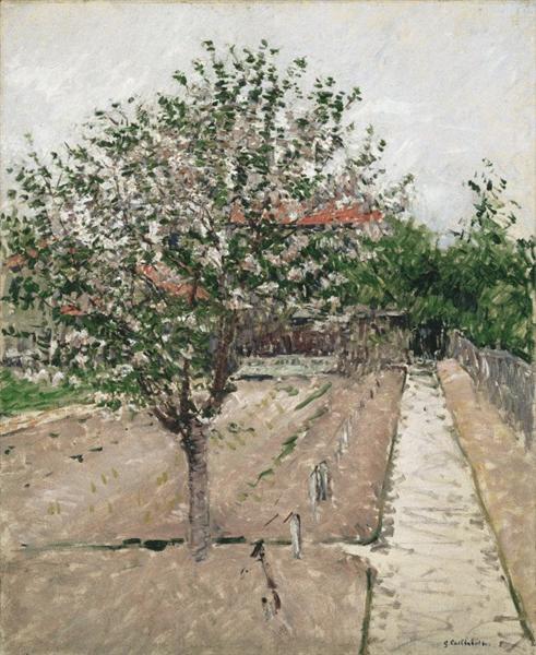 Apple Tree in Bloom - 1885