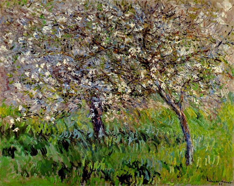 Apple Trees in Flower in Giverny - 1901