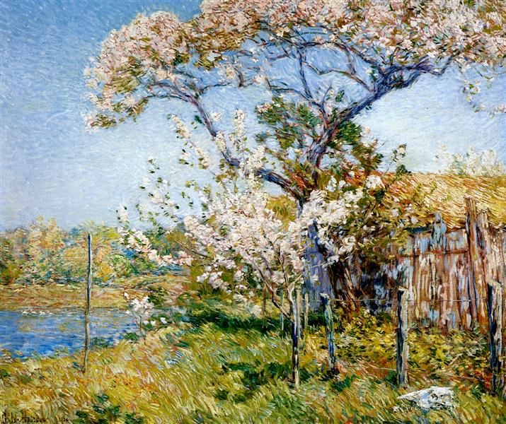 Apple Trees in Bloom - Old Lyme - 1904