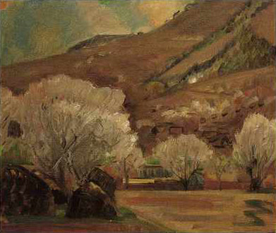 Flores De Albaricoque - 1933